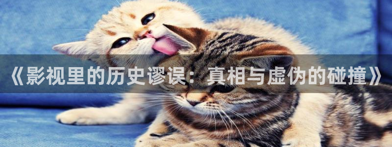 yy6080新觉视